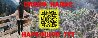 крисы Ливны