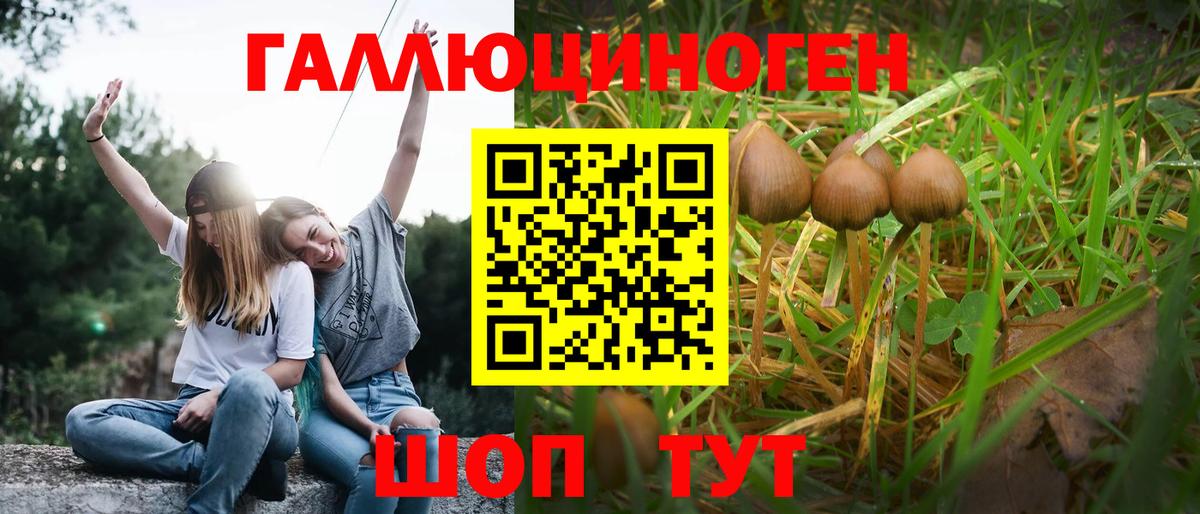Псилоцибиновые грибы MAGIC MUSHROOMS  Вход с VPN  Петрозаводск 